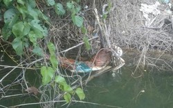 Phát hiện bộ xương người nghi là nạn nhân mất tích vụ vỡ thủy điện Sông Bung 2