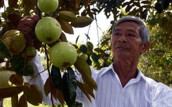 Lão nông làm giàu giữa “rốn mặn” U Minh