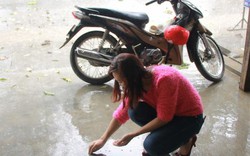 Nghệ An: Người dân hồ hởi nhặt hạt mưa đá... ăn thử