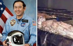 Phi hành gia NASA nhìn thấy “xác chết người ngoài hành tinh”?