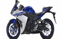 Yamaha YZF-R25 2017 giá 103 triệu đồng thêm màu mới