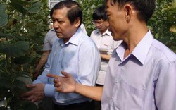 Chủ tịch Lại Xuân Môn: Khâm phục nông dân trồng dưa công nghệ cao