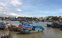 Bình Thuận: Giá dầu bấp bênh, ngư dân vẫn bám biển