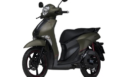 Yamaha Janus Limited Premium: Dáng đẹp, giá tầm trung