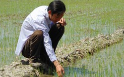 Ngân hàng Thế giới: Nông nghiệp Việt Nam cần giảm chỉ đạo, tăng hỗ trợ