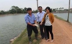 Tiếp sức cho nông dân nuôi cá rô phi Đường Nghiệp