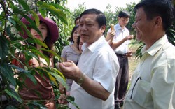 Chủ tịch T.Ư Hội NDVN Lại Xuân Môn: Tuyên truyền cho nông dân  qua những mô hình cụ thể
