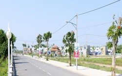 Đất nền Long An vào đỉnh sốt