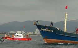 Cứu nạn thành công tàu cá vỏ thép hơn 17 tỷ cùng 8 ngư dân
