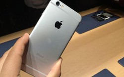 Huấn luyện viên hồ bơi trộm IPhone 6 của nhân viên ngoại giao