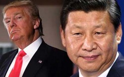 Quyết định bất ngờ của ông Tập trong lần đầu gặp Trump