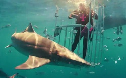 Video đập hộp Samsung Galaxy S8 ngay trước hàm cá mập