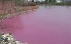 Lộ diện “thủ phạm” khiến hồ nước hơn 10ha chuyển màu hồng