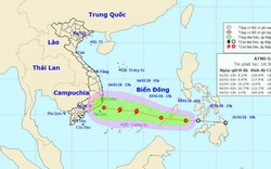 Trưa mai 3/1, áp thấp nhiệt đới mạnh thành bão, hướng vào TP.HCM