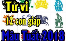 Tử vi pháp luật 12 con giáp trong năm Mậu Tuất 2018