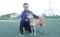 Trại chó Phú Quốc bạc tỷ đẹp- độc- lạ rộng hơn 500m2 giữa Thủ đô