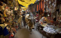 13 lý do khiến bạn nên đến Ấn Độ vào năm 2018
