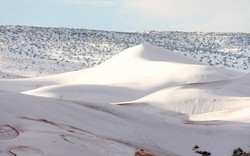 Rét kỷ lục phủ trắng sa mạc Sahara dưới lớp tuyết dày 40cm
