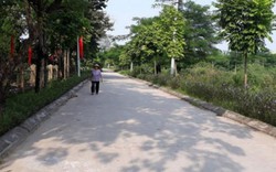 Năm 2018, Hà Nội quyết tâm có thêm 2 huyện đạt chuẩn