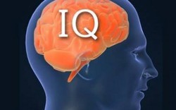 Người có IQ cực cao cũng bị làm khó bởi 5 bài toán sau