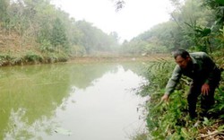 Muốn giàu nuôi cá, muốn khá trồng cam