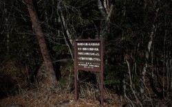 Khu rừng "tự sát": Địa điểm ám ảnh nhất Nhật Bản