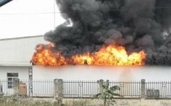 Hải Phòng: Cháy lớn tại kho sơn công ty trong cụm công nghiệp