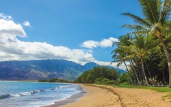 Dân Hawaii hoảng loạn vì cảnh báo tên lửa đạn đạo đang bay tới