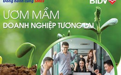 2.000 tỷ đồng với gói tín dụng ươm mầm doanh nghiệp tương lai từ BIDV