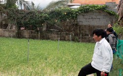 Chuyện ở Vạn Ninh: Vay vốn trồng tỏi thoát được nghèo
