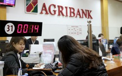 Agribank báo lãi kỷ lục, đạt hơn 5.000 tỷ đồng lợi nhuận trước thuế