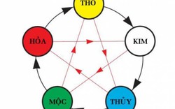 Nghe chuyên gia phong thủy mách màu sắc may mắn với từng con giáp trong năm Mậu Tuất