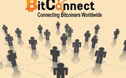 Bitconnect đóng sàn nhiều nhà đầu tư có nguy cơ mất trắng