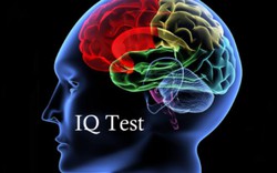 Bài kiểm tra IQ nổi tiếng khó nhằn, chỉ 1% dân số thế giới trả lời đúng tất cả