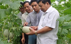Chủ tịch tỉnh Nghệ An: Năm nay sẽ có thêm ít nhất 27 xã đạt chuẩn