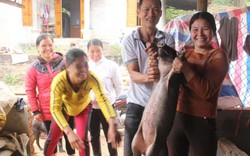 Gia đình "chân sút" Đất Tổ mổ lợn đãi hàng xóm chờ xem U23 Việt Nam
