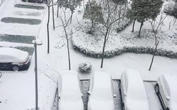Tuyết rơi trắng xóa thành phố diễn ra chung kết U23 Việt Nam - Uzbekistan