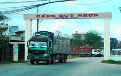 Lấy lại Cảng Quy Nhơn cho Nhà nước: Có khả thi?