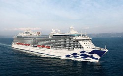 Bên trong du thuyền Majestic Princess đưa người Việt khám phá thế giới