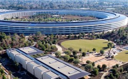 Trụ sở Apple Park bắt đầu được đưa vào sử dụng dù chưa hoàn thiện