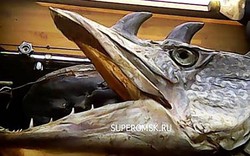 Bắt được "thủy quái" như rồng biển ở Nga