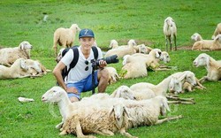 Đồng cừu đầu tiên "đốn tim" dân "phượt" ở Nghệ An
