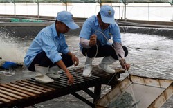 Thủ tướng Nguyễn Xuân Phúc: Bạc Liêu sẽ trở thành thủ phủ ngành tôm