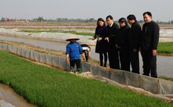 Bộ trưởng Nguyễn Xuân Cường đi lấy nước đổ ải cùng nông dân