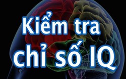 Bộ 6 câu hỏi kiểm tra chỉ số IQ của bạn