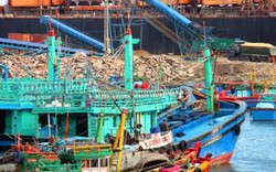 Bình Định: Nỗi lo cảng hàng “đè” cảng cá