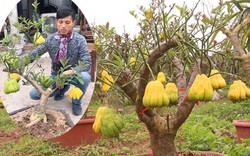 Phật thủ bonsai "rẻ như cho": Màn ăn mừng U23 Việt Nam cực chất của 8x Đắc Sở