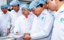 Tập đoàn Minh Phú và sứ mệnh “vun trồng”, nuôi dưỡng thực phẩm sạch