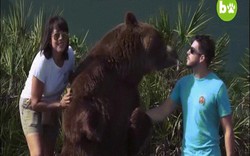 Gia đình Mỹ nuôi 14 gấu khổng lồ như con cháu trong nhà