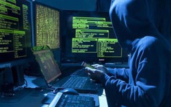 Tình báo Hà Lan – đồng minh bí mật của Mỹ trong cuộc chiến chống hacker